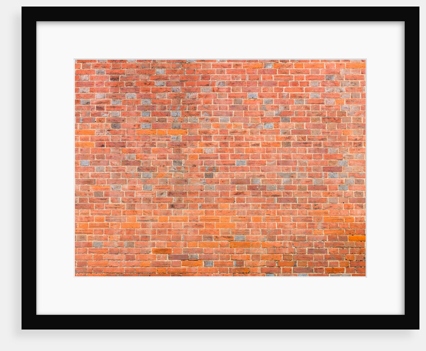 Brickwall by Assaf Frank